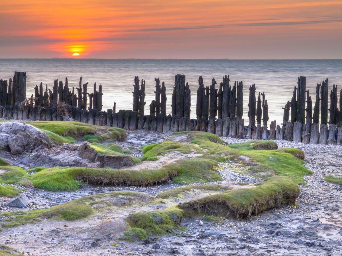 Wadsuper Vakantiewoning Paesens Moddergat Aan De Waddenzee Dış mekan fotoğraf